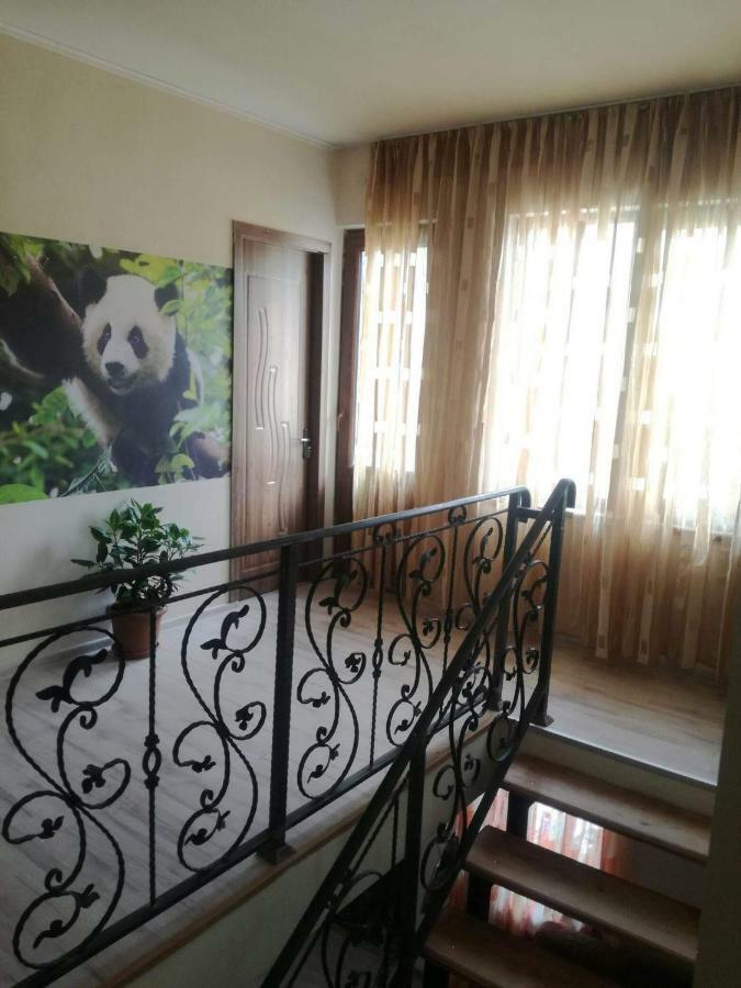 מלון קאחתי Happy Pandasn12 מראה חיצוני תמונה
